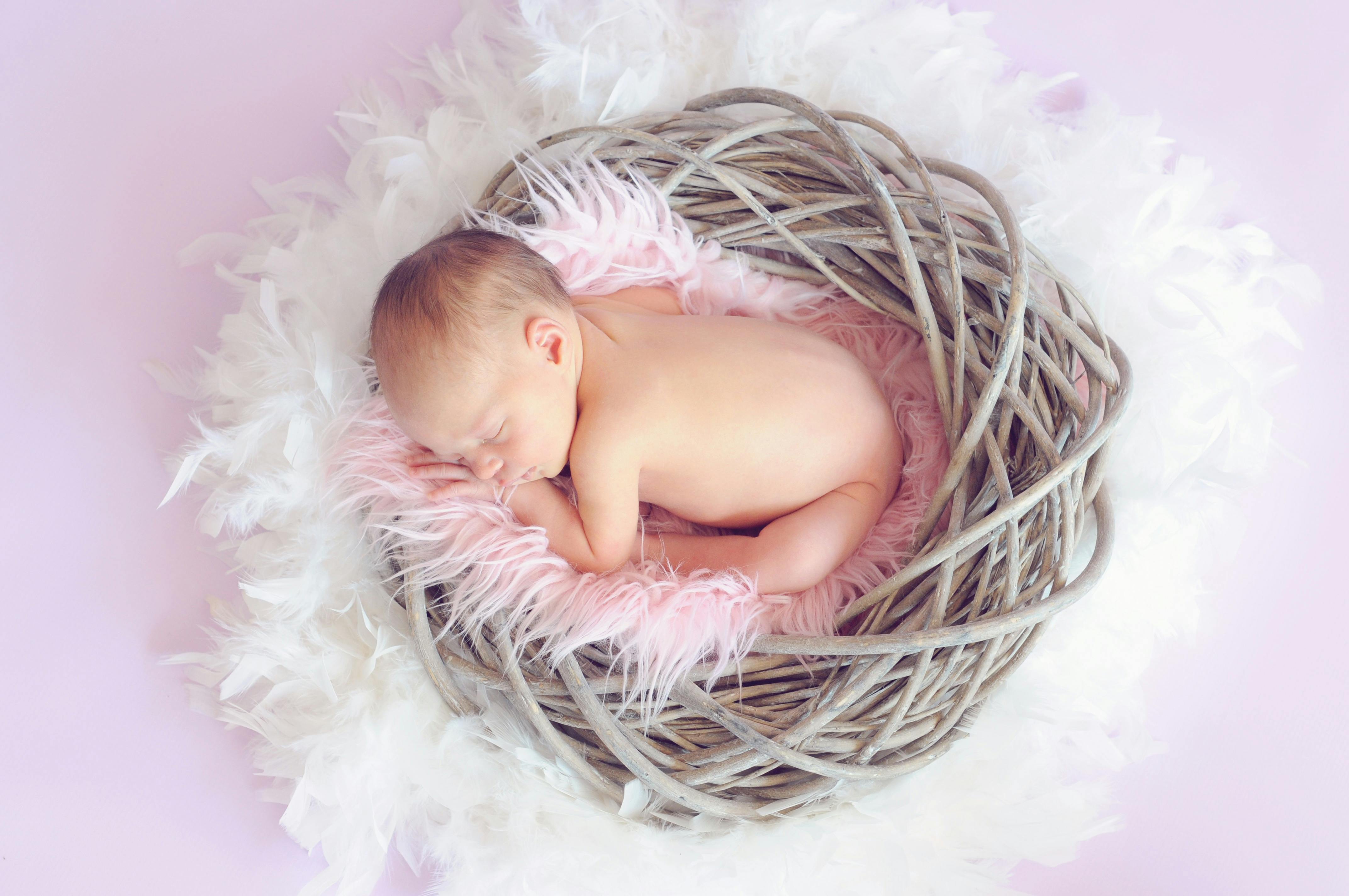 Bebek Fotoğrafçısı